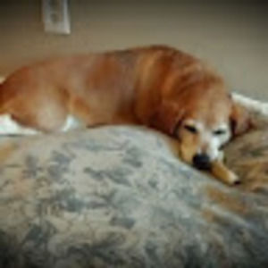 Meet your Posher, Cheyla